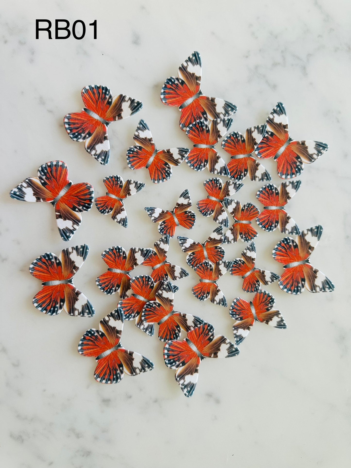 Asparagus Fern Scene