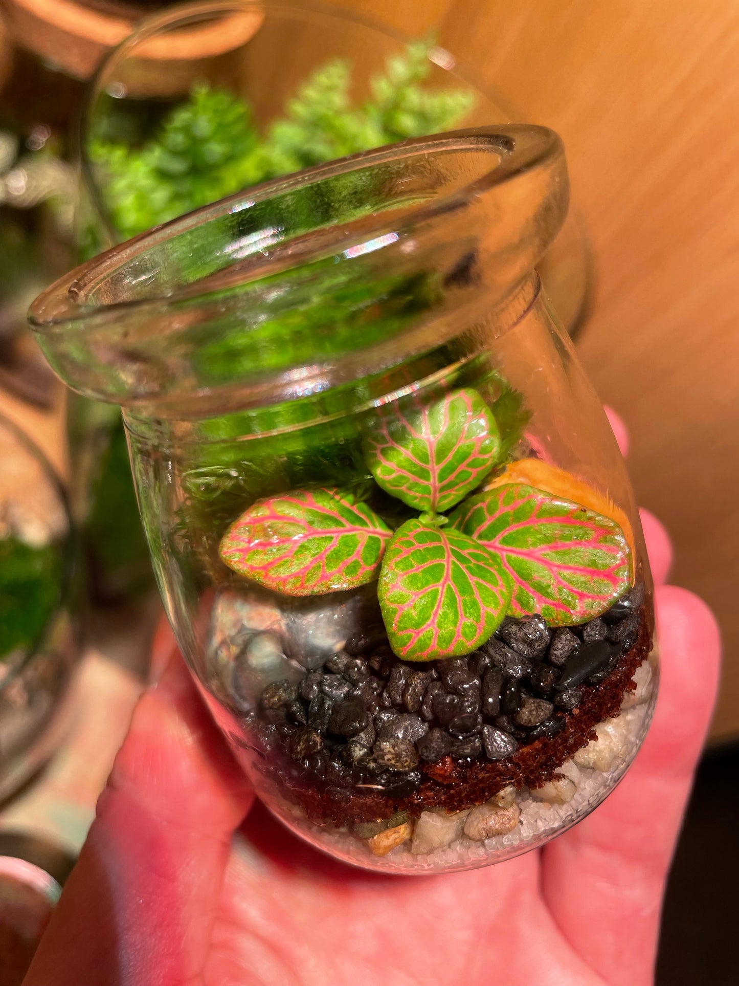 Micro Terrarium