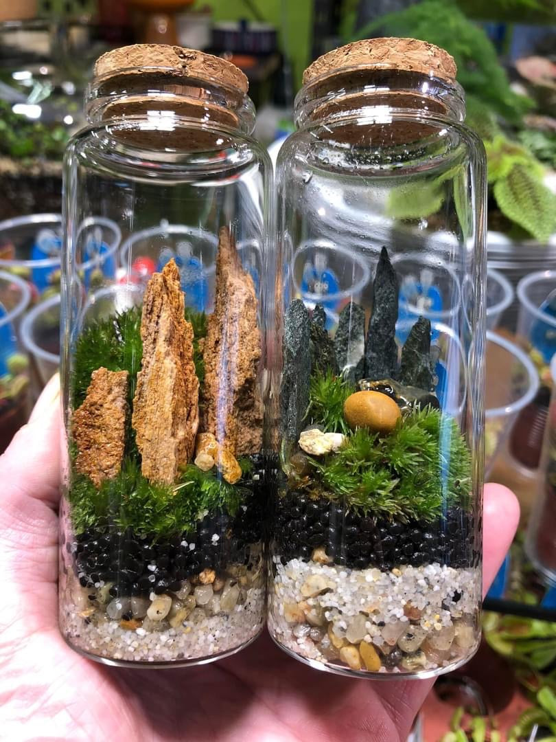 Tiny Terrarium