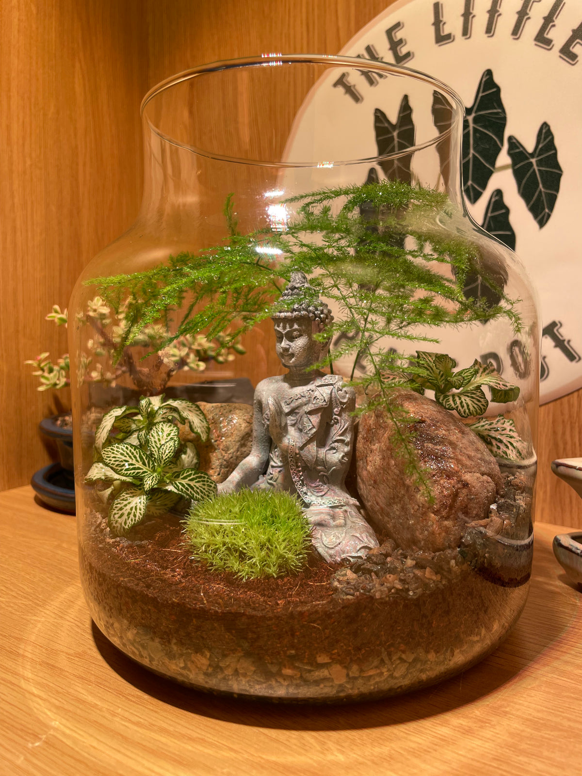 Buddha Terrarium
