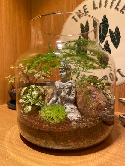 Buddha Terrarium
