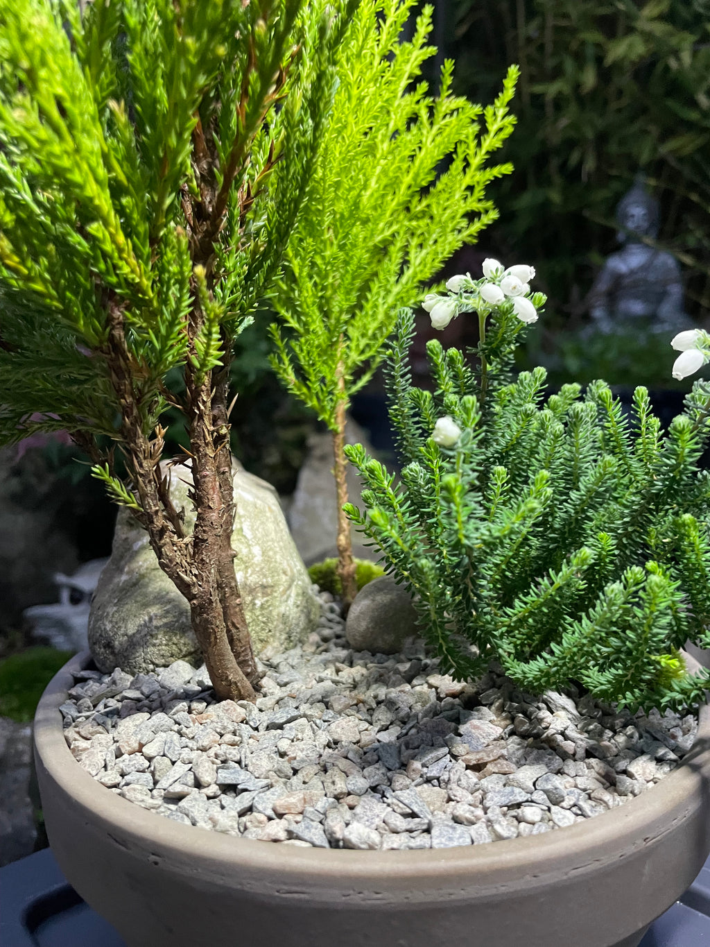 Mini Forest Bowl