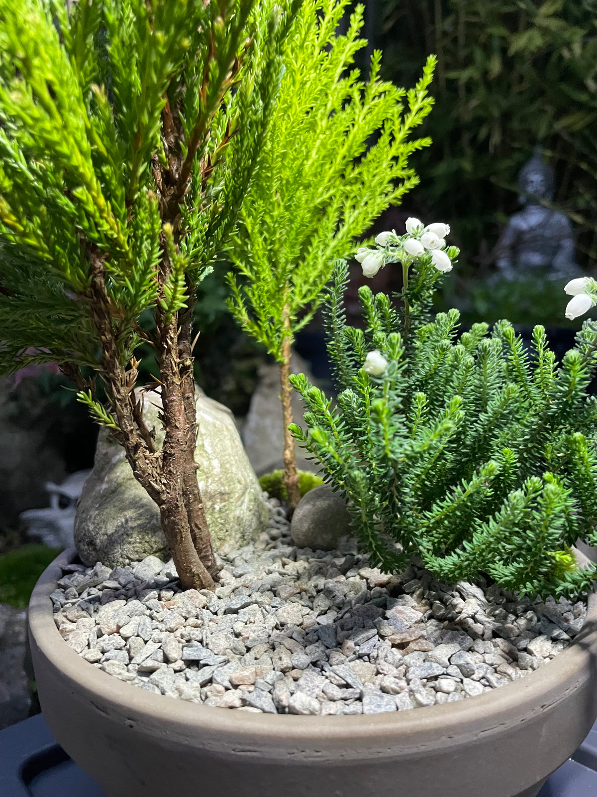 Mini Forest Bowl