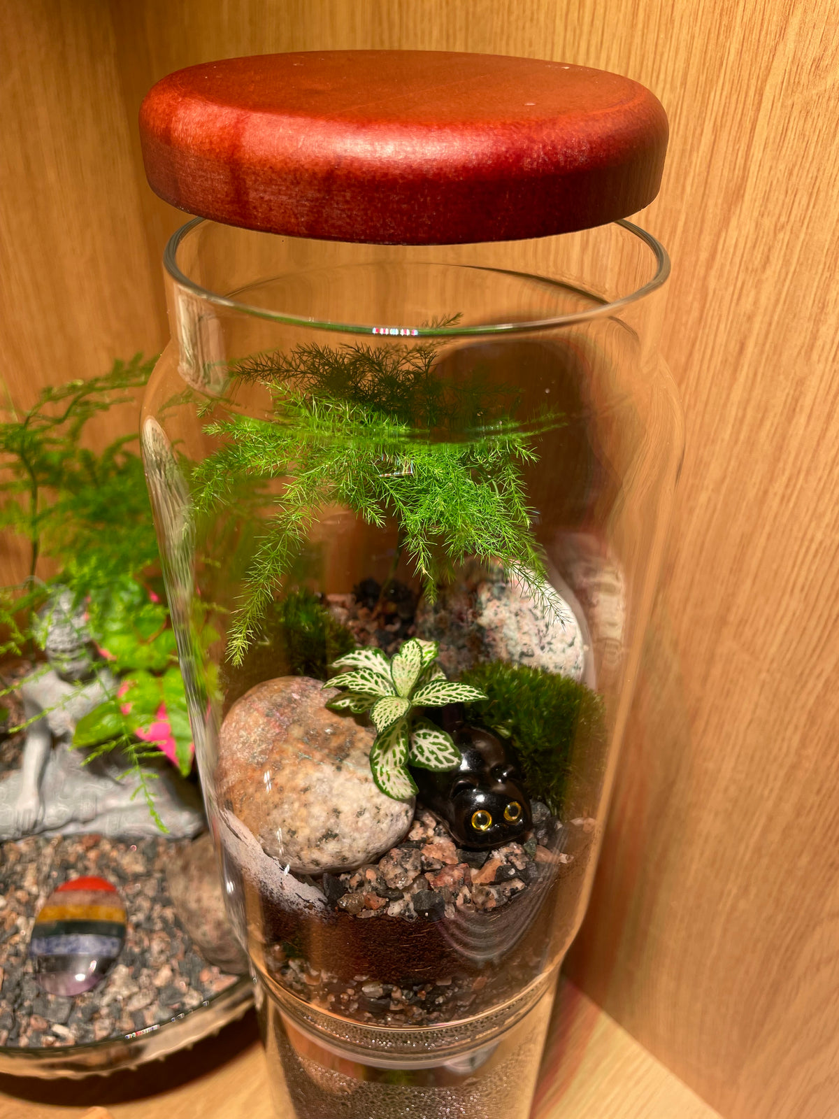 Little Cat Terrarium