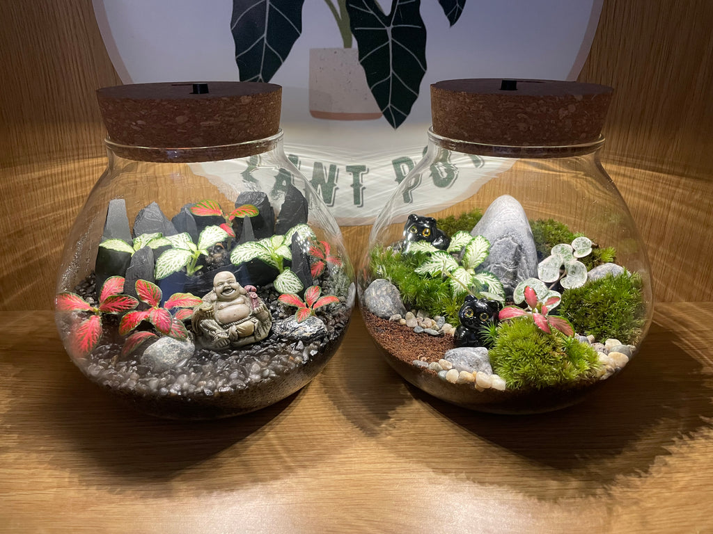 Buddha LED Terrarium