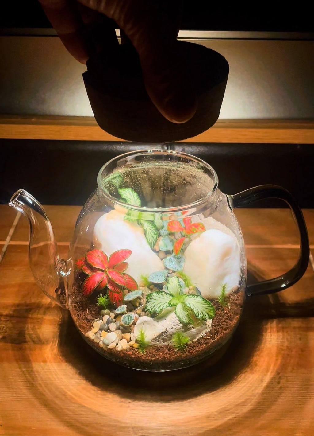 Teapot Terrarium