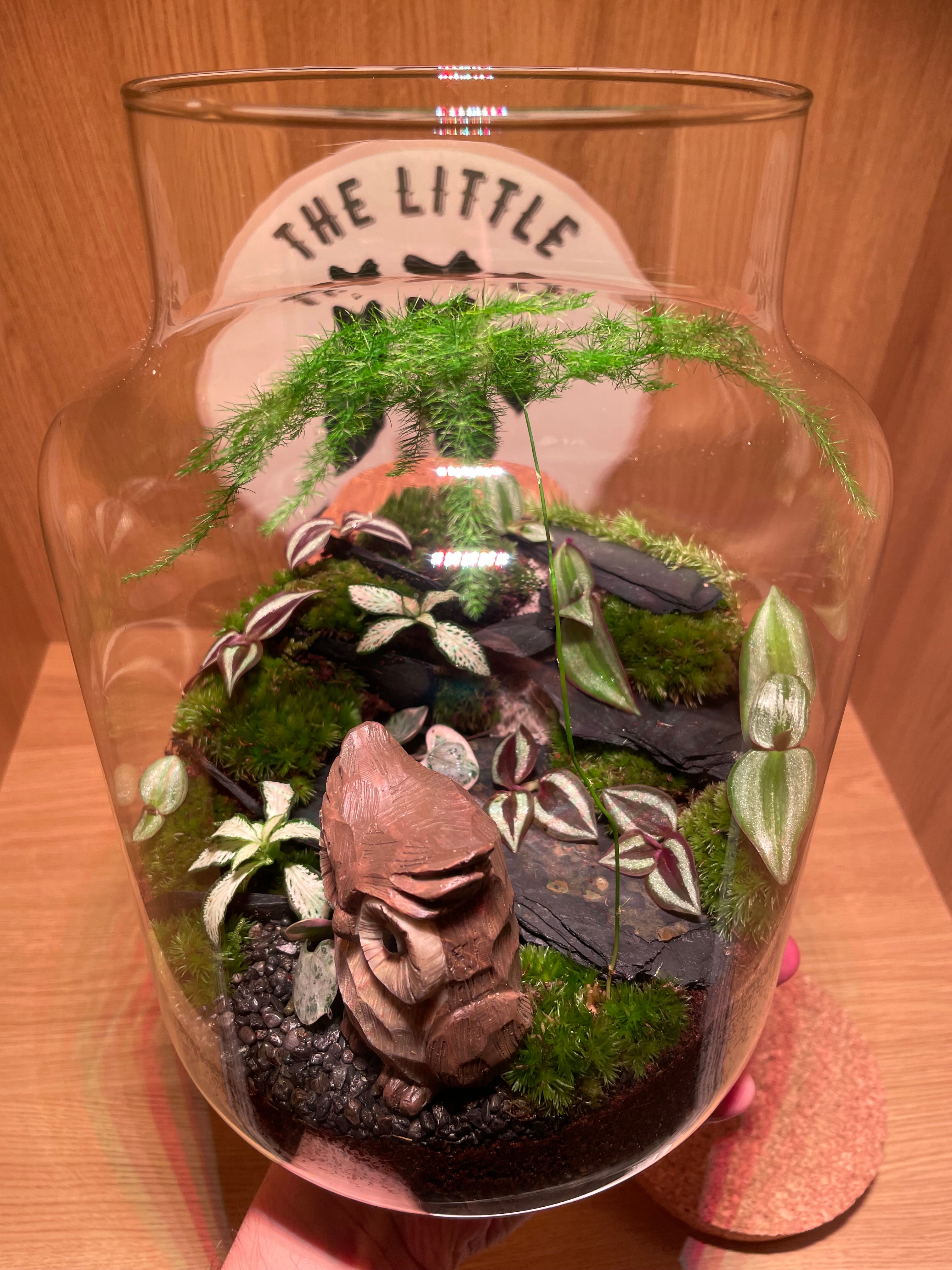 Owl Terrarium