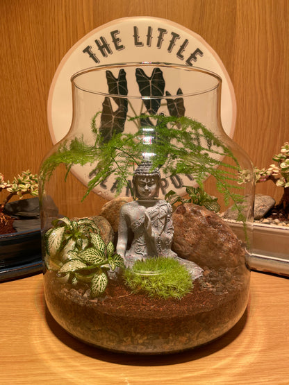 Buddha Terrarium