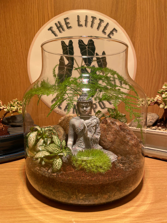 Buddha Terrarium