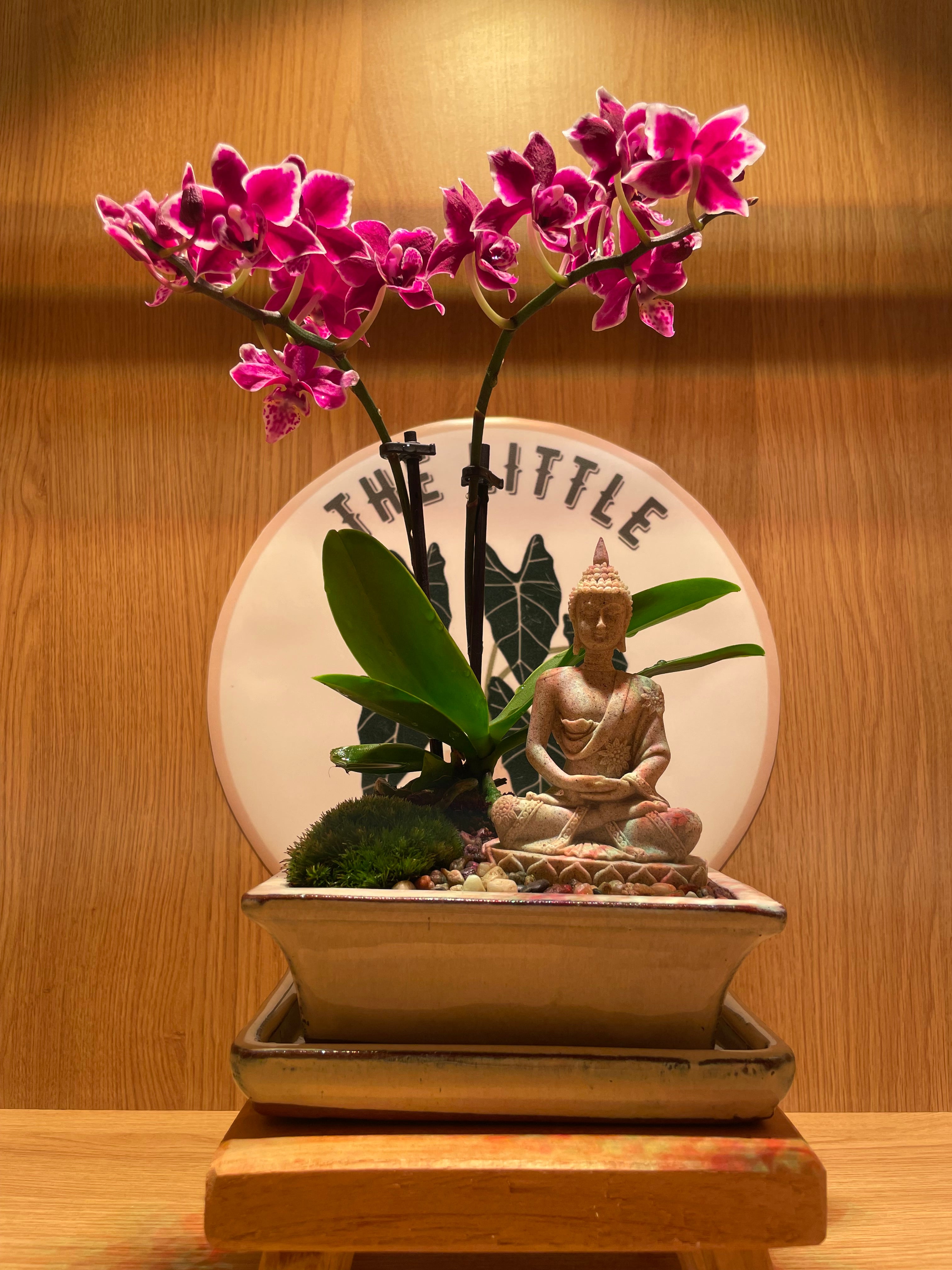 Buddha and the Orchid