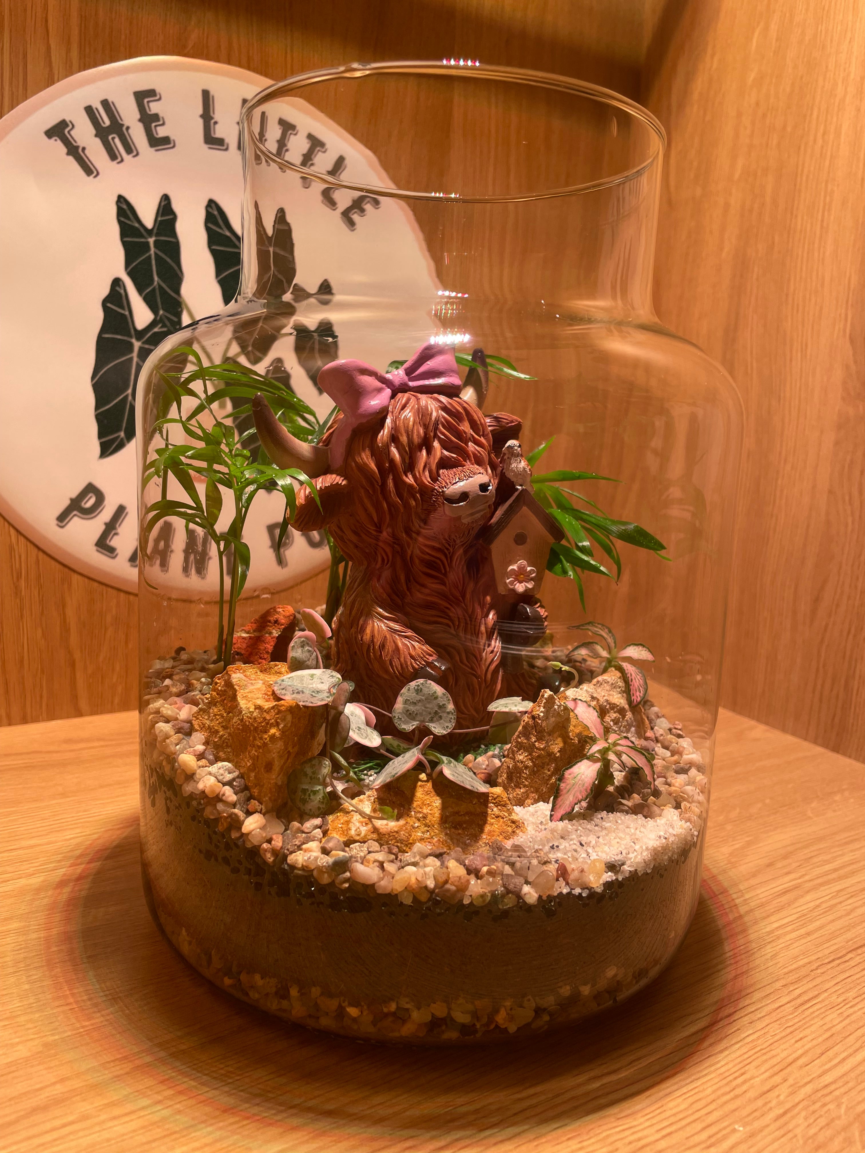 Highland Cow & Birdy Terrarium