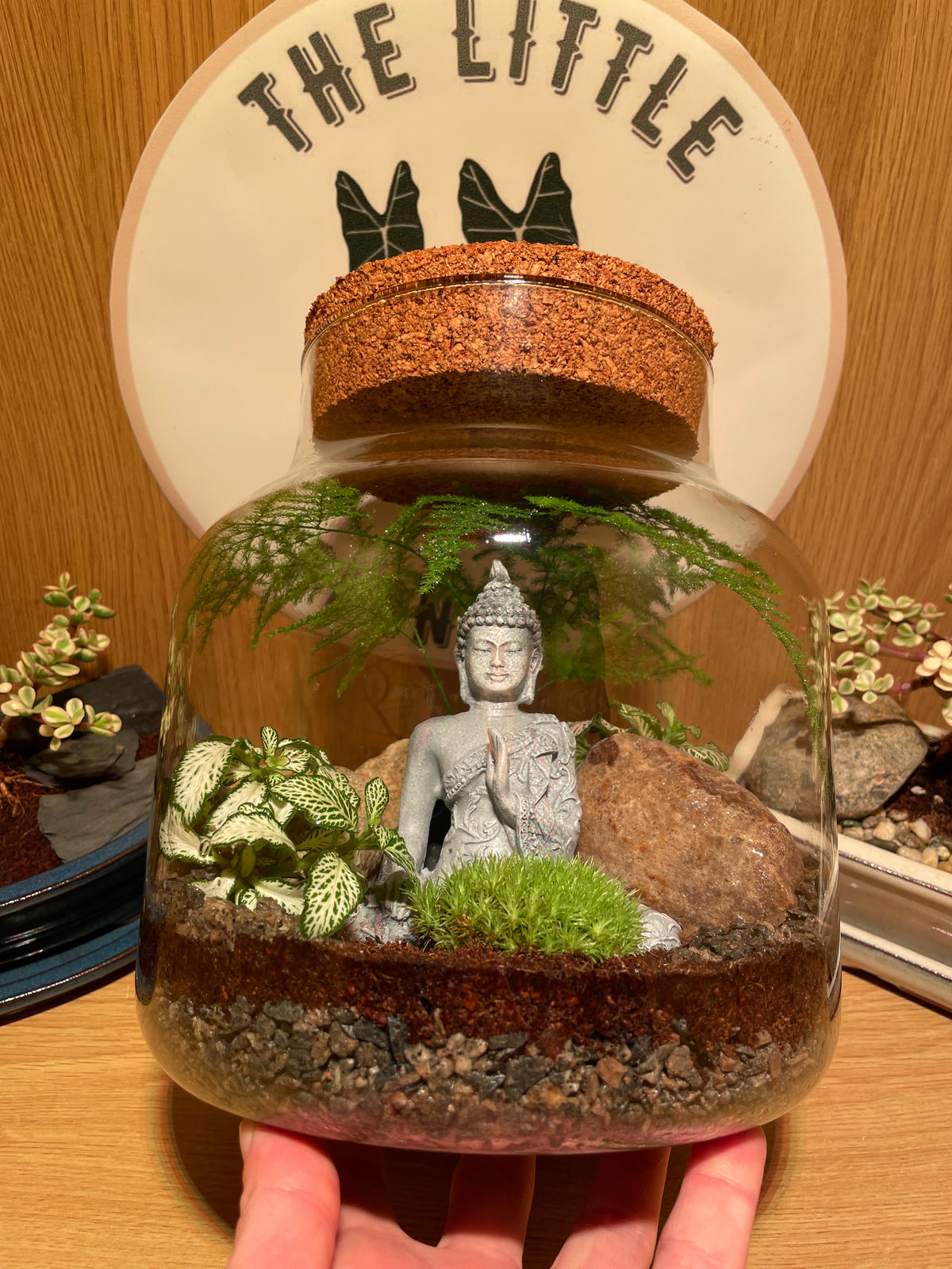 Buddha Terrarium