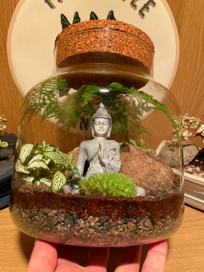 Buddha Terrarium