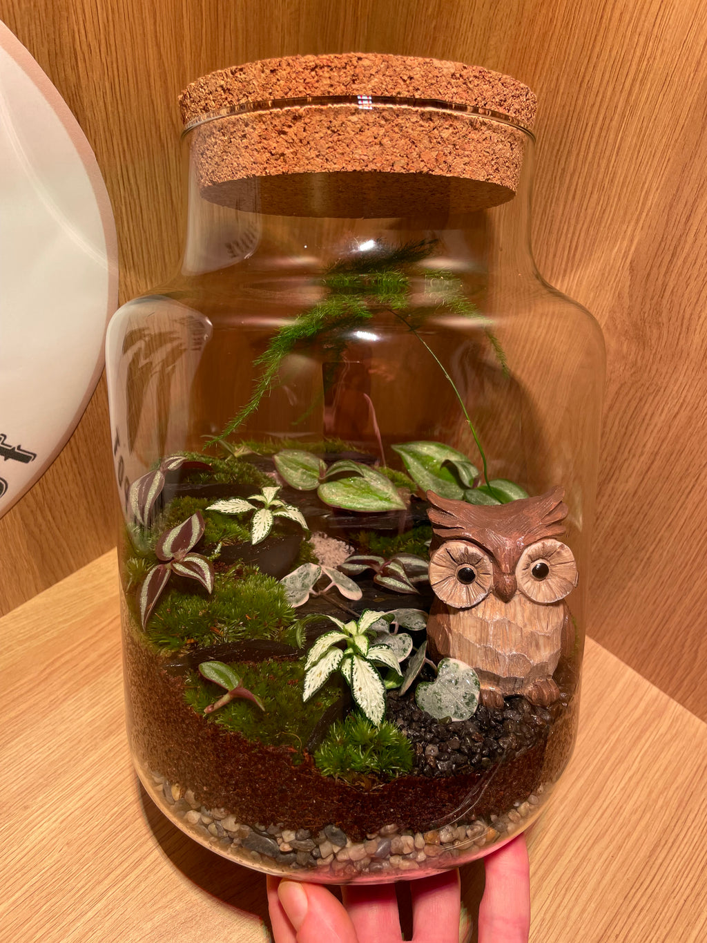 Owl Terrarium