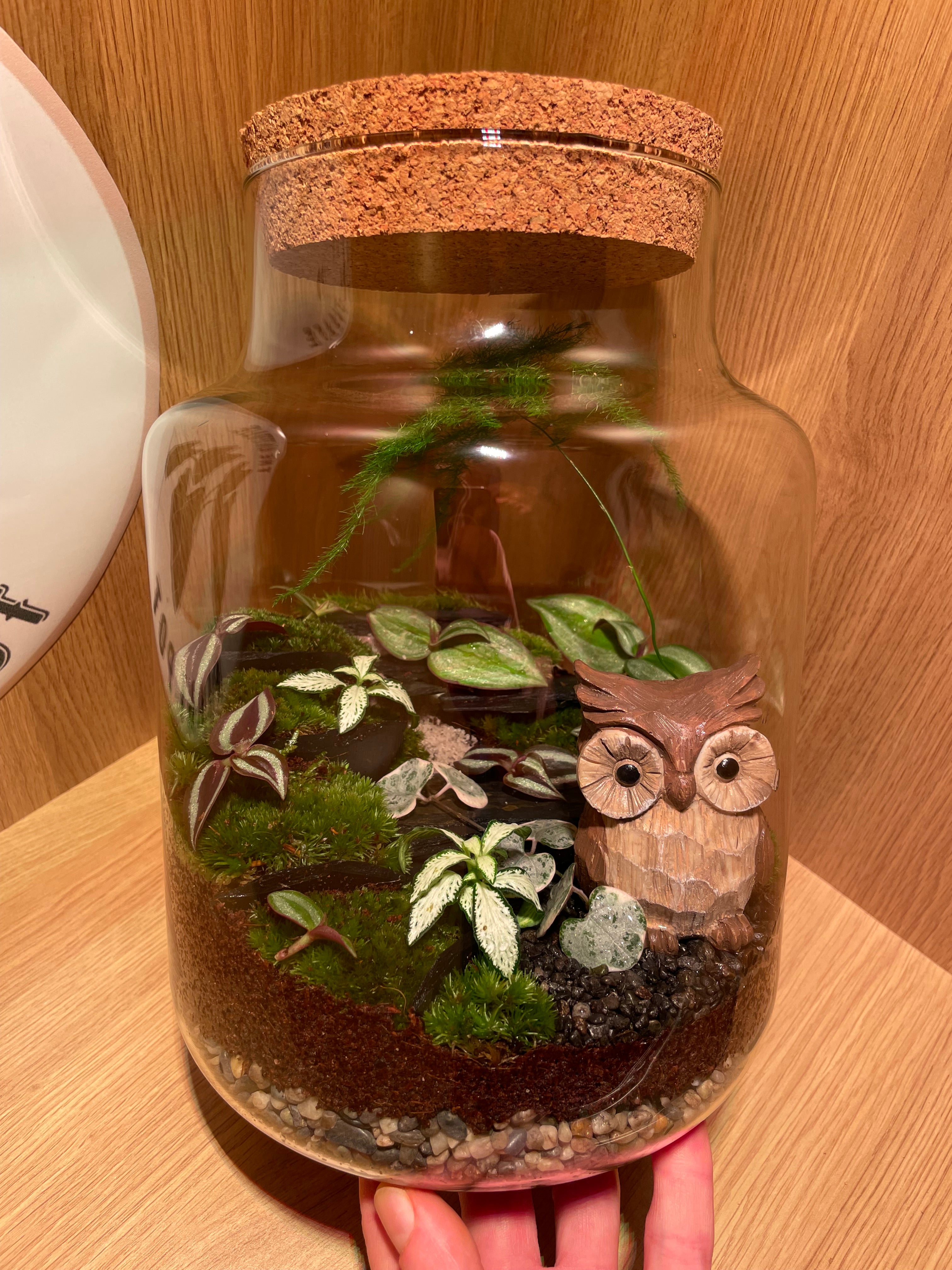 Owl Terrarium