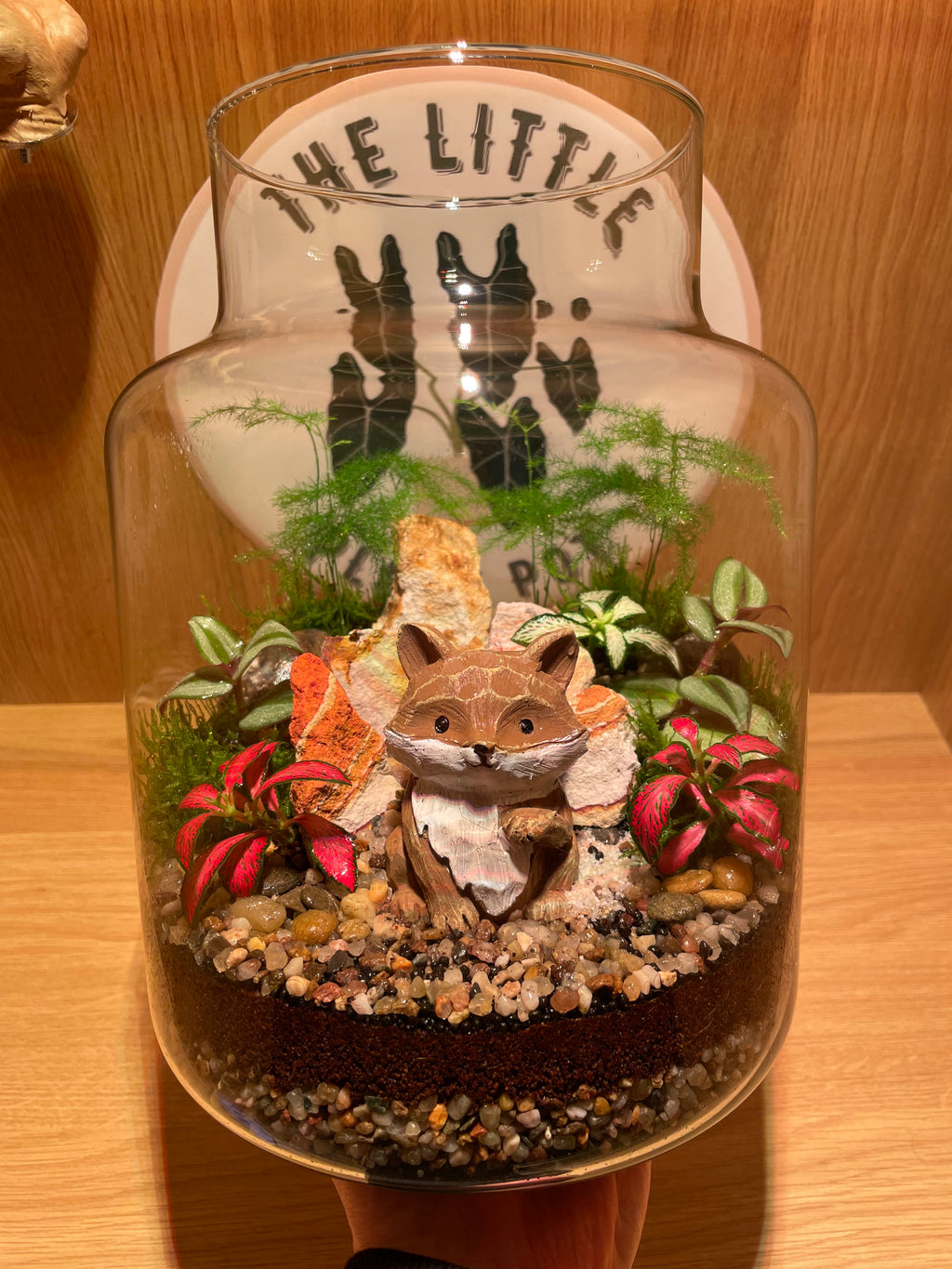Mr Fox Terrarium
