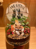 Mr Fox Terrarium