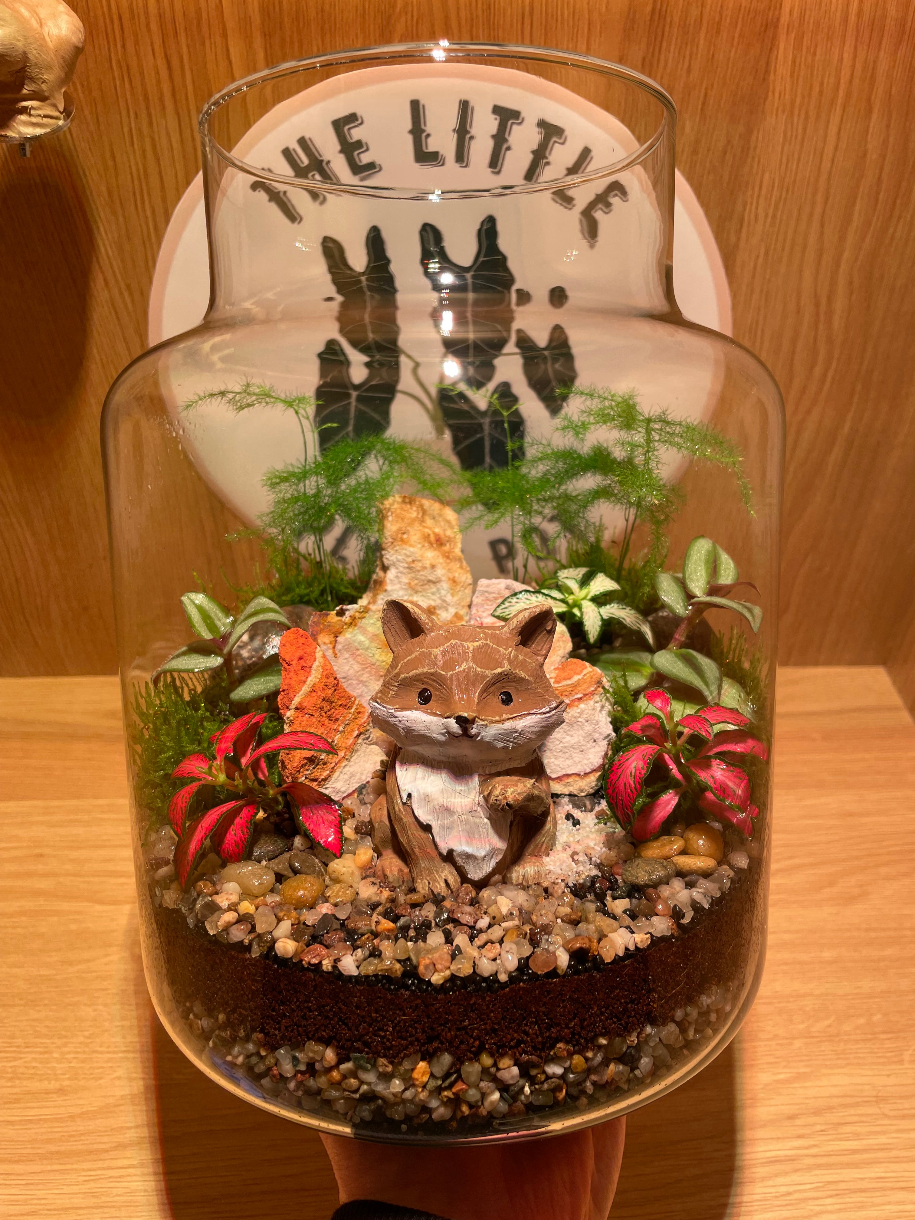 Mr Fox Terrarium