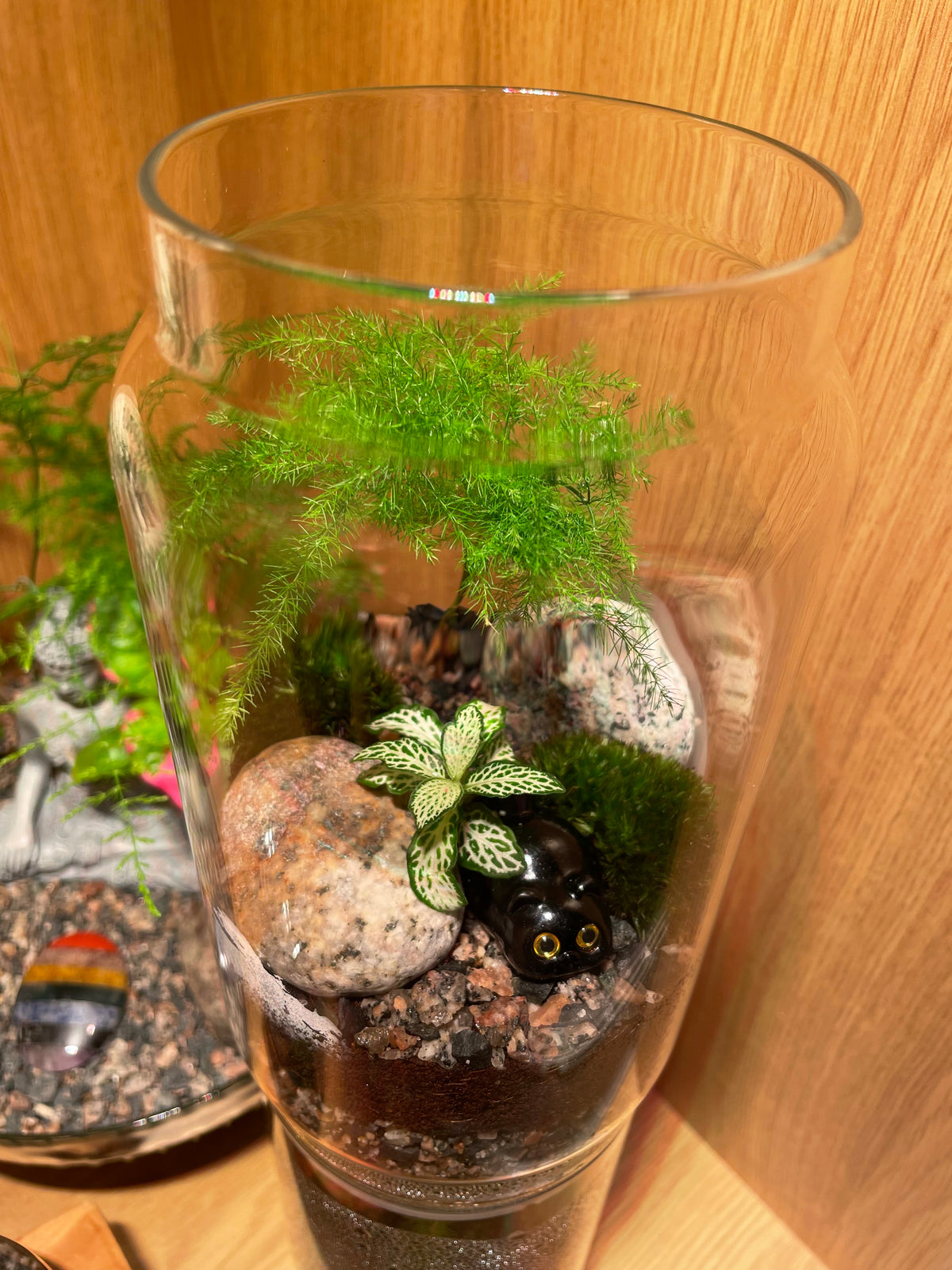 Little Cat Terrarium