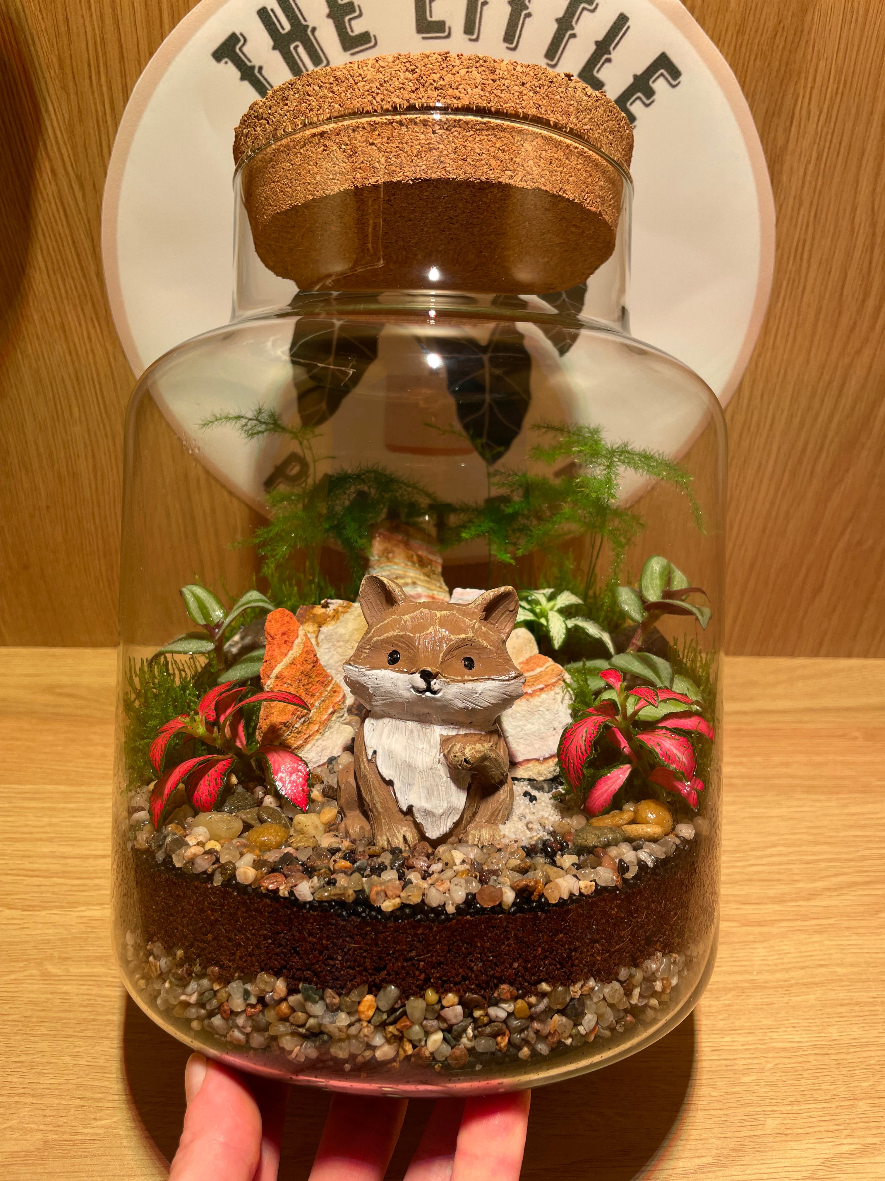 Mr Fox Terrarium