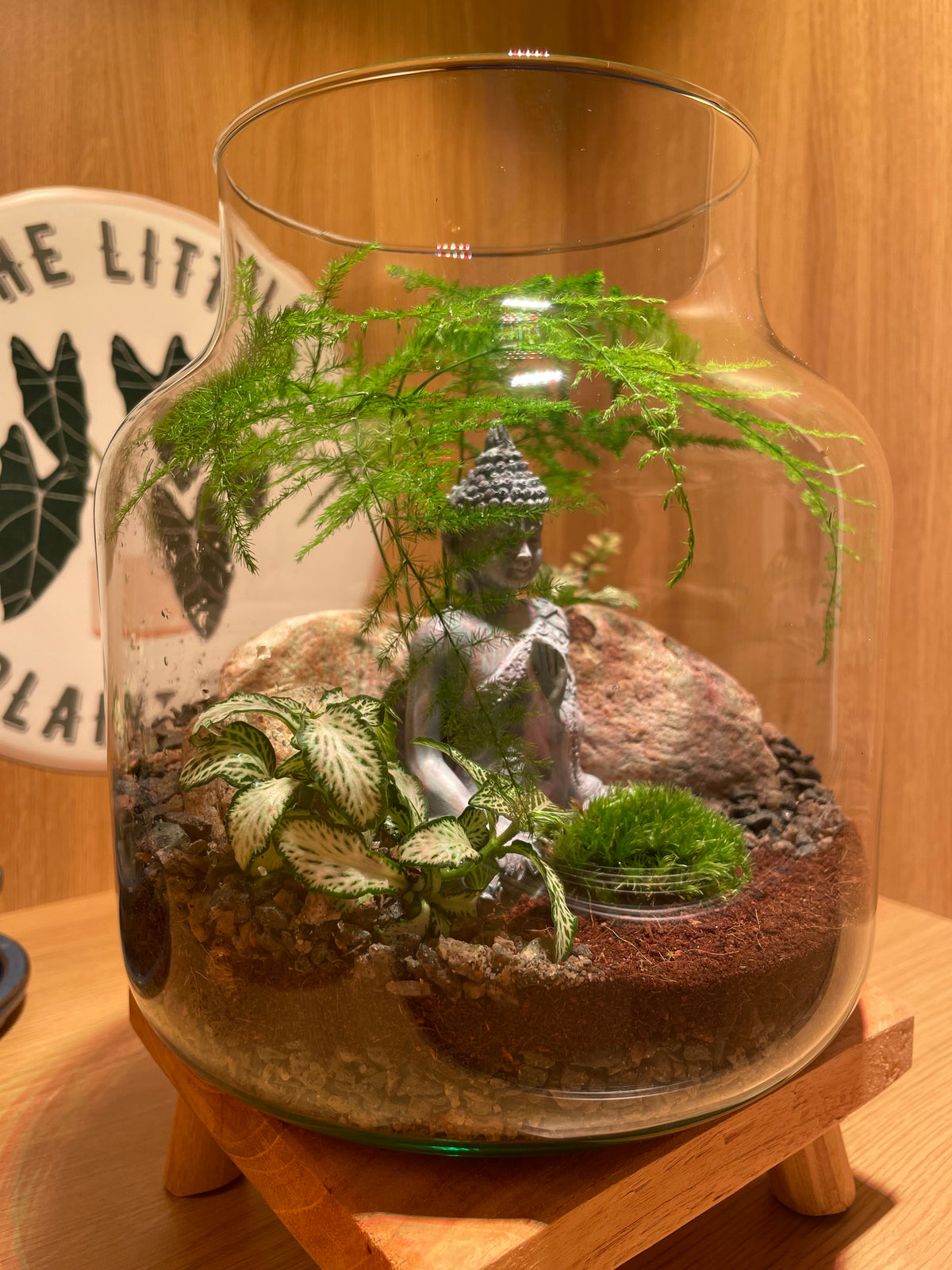 Buddha Terrarium