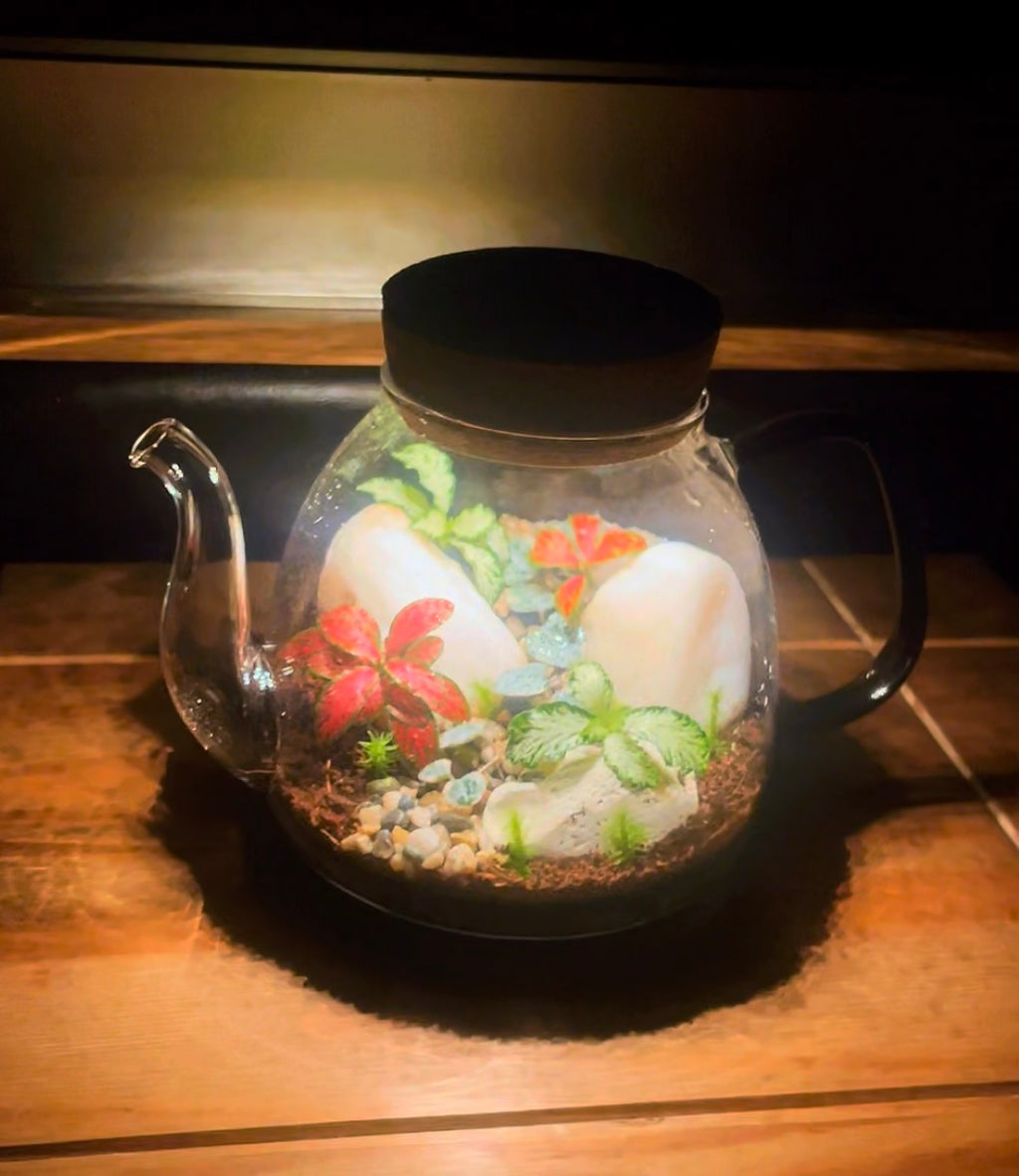 Teapot Terrarium