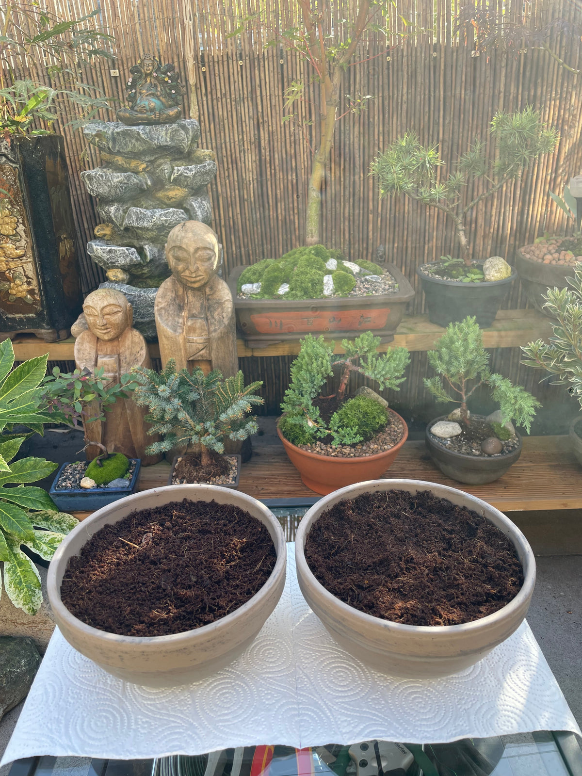 DIY Mini Forest Bowl Kit
