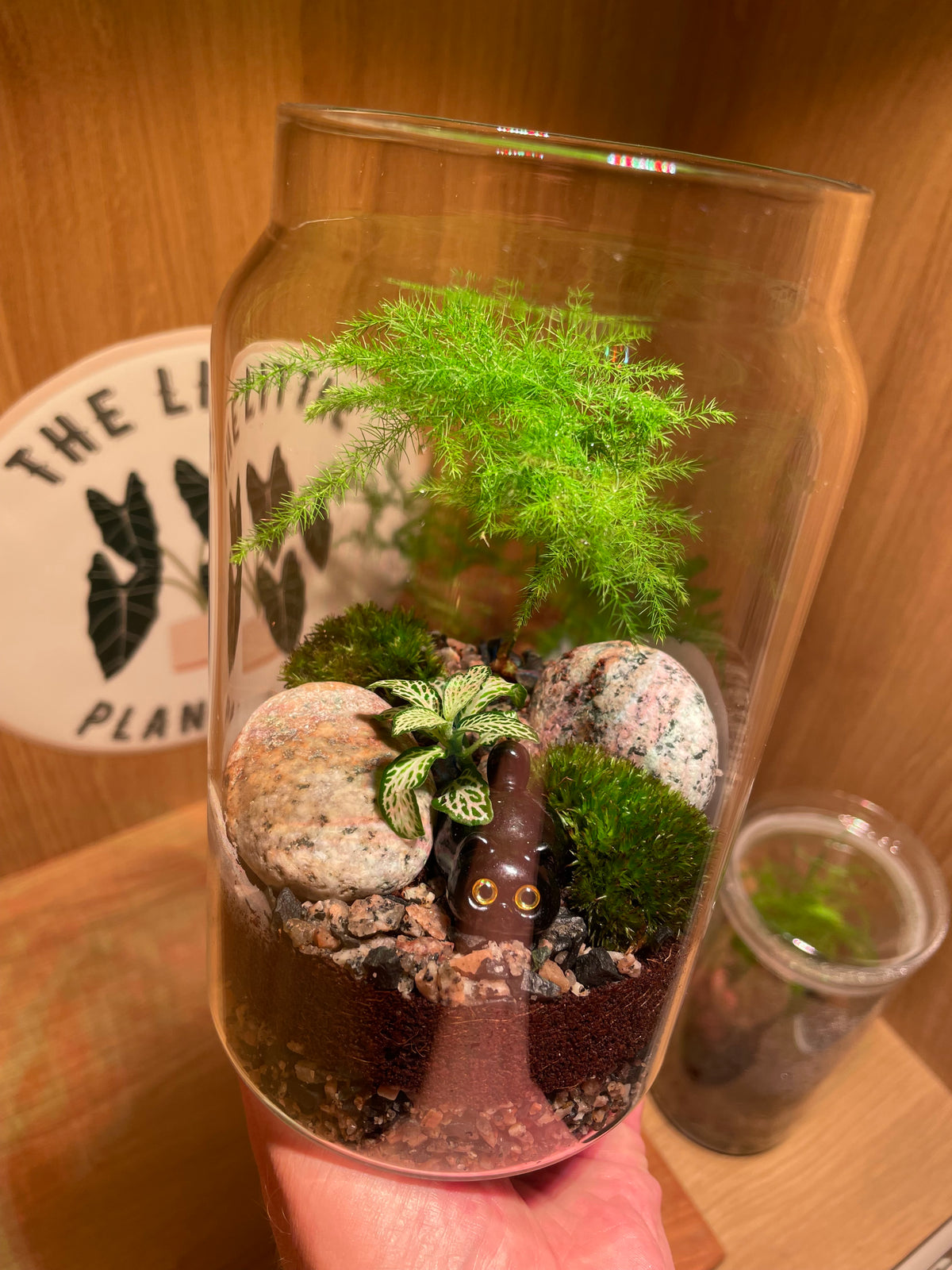 Little Cat Terrarium