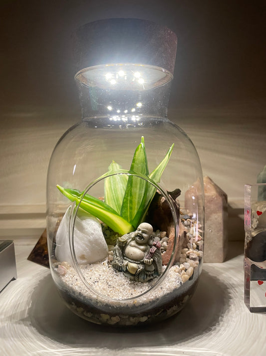 Buddha LED Terrarium