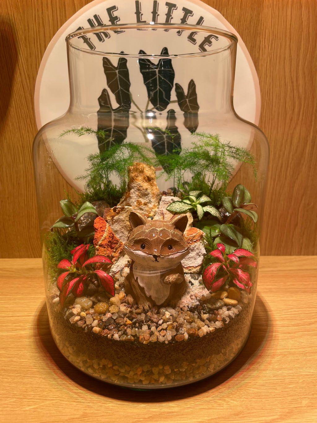 Mr Fox Terrarium