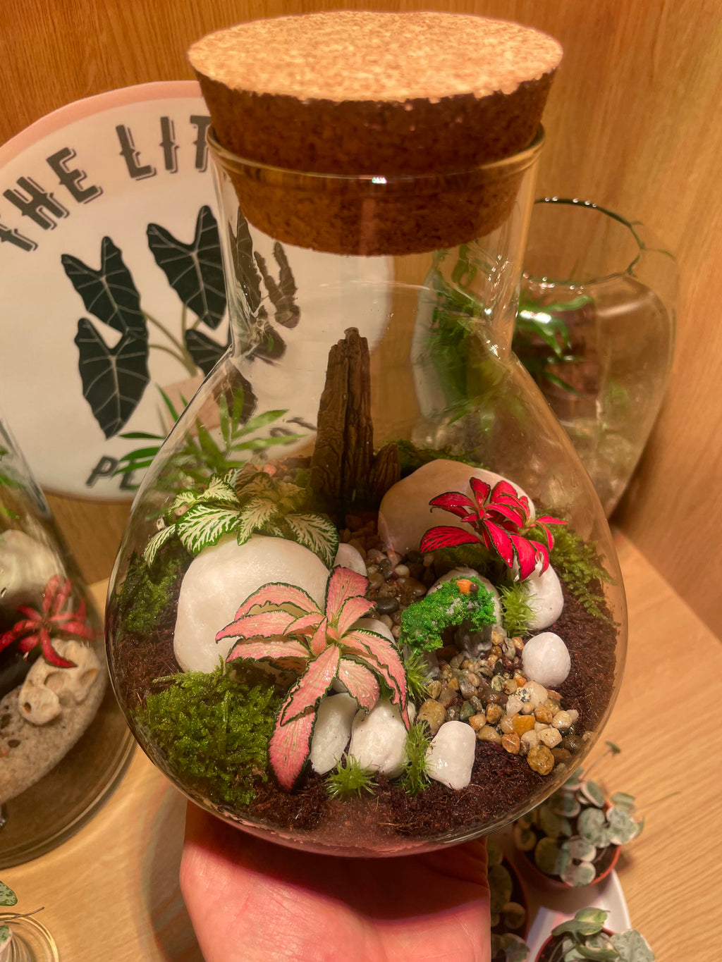 ***NEW*** Little Bird Terrarium