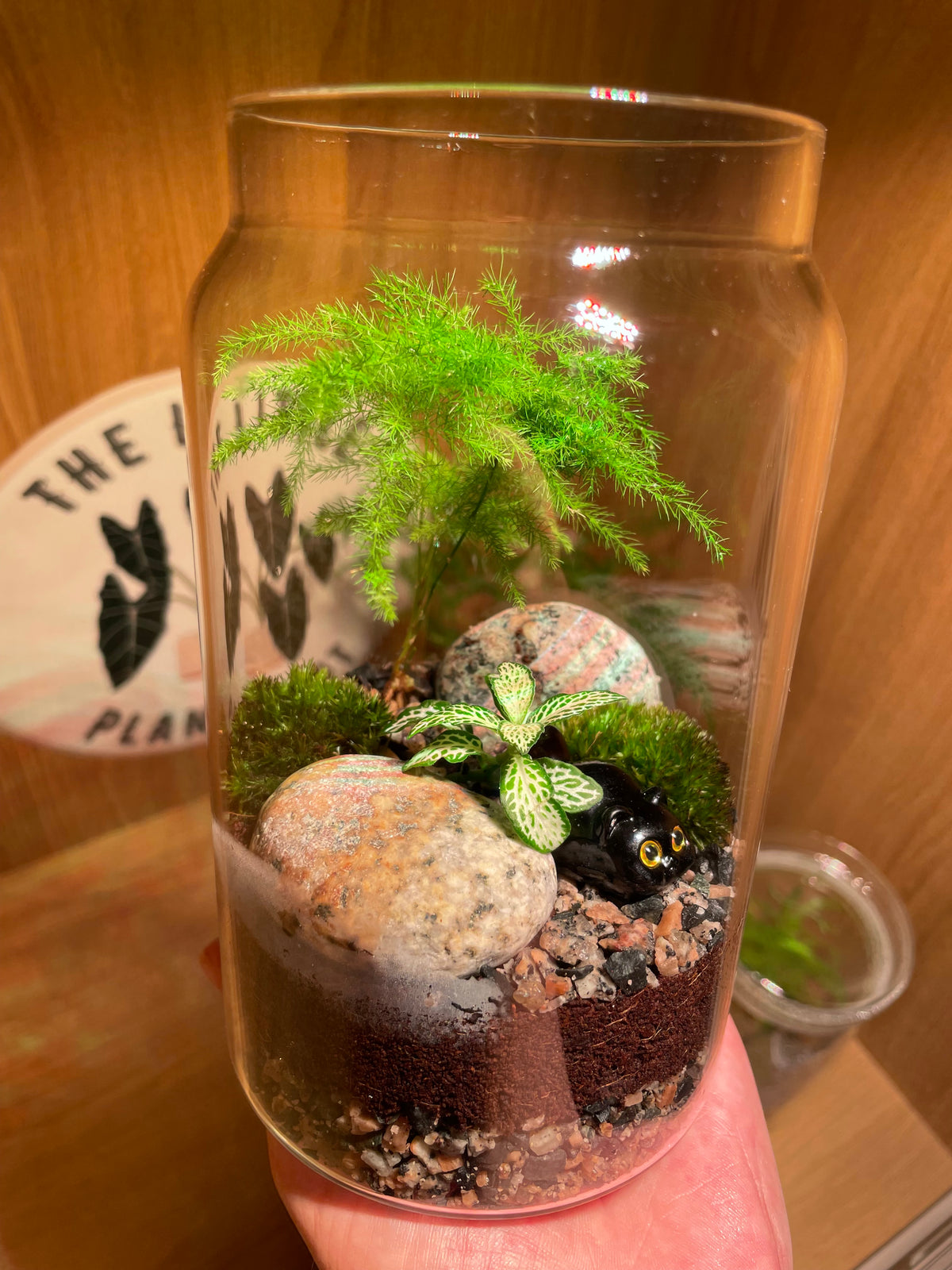 Little Cat Terrarium