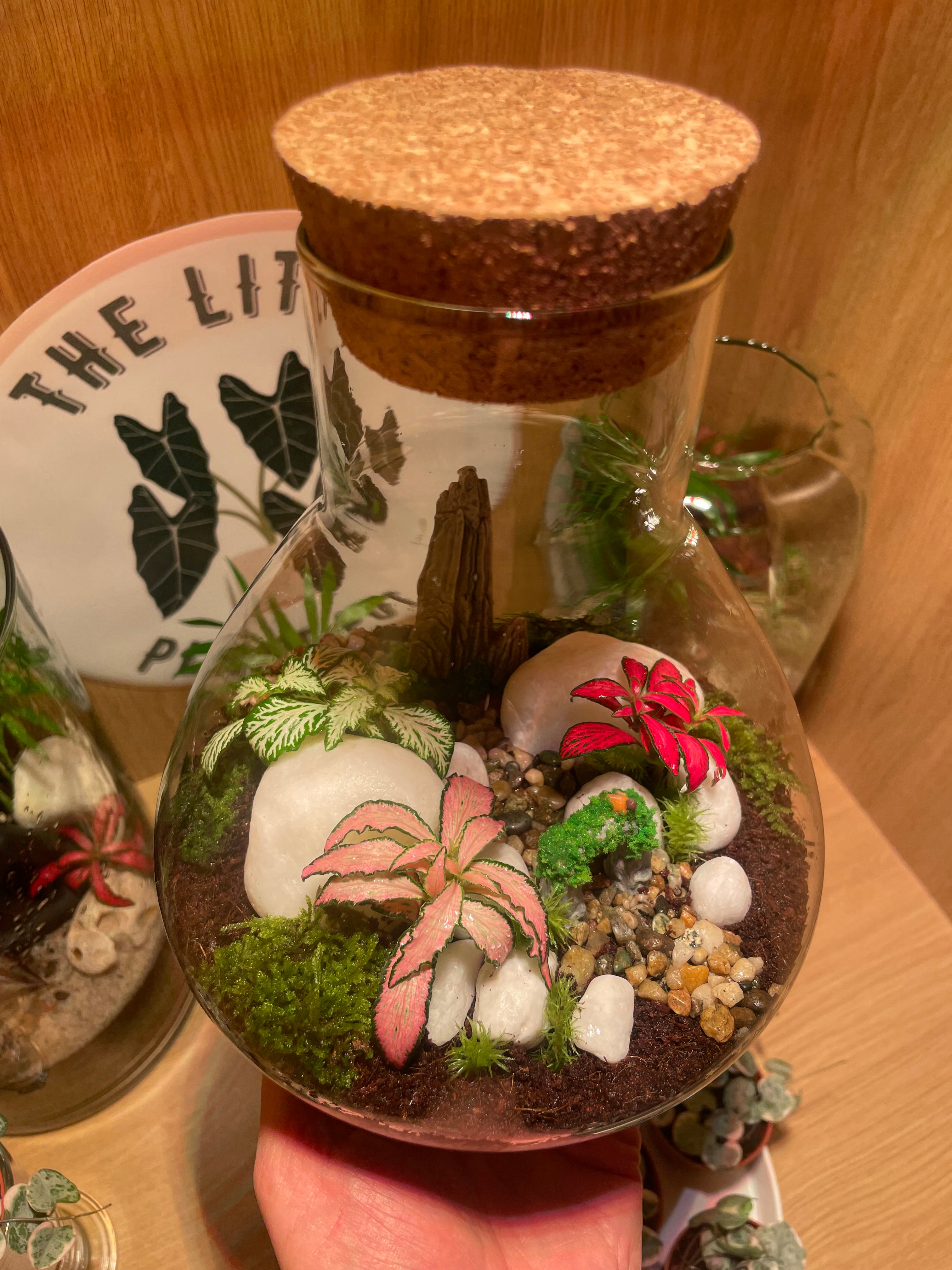 ***NEW*** Little Bird Terrarium