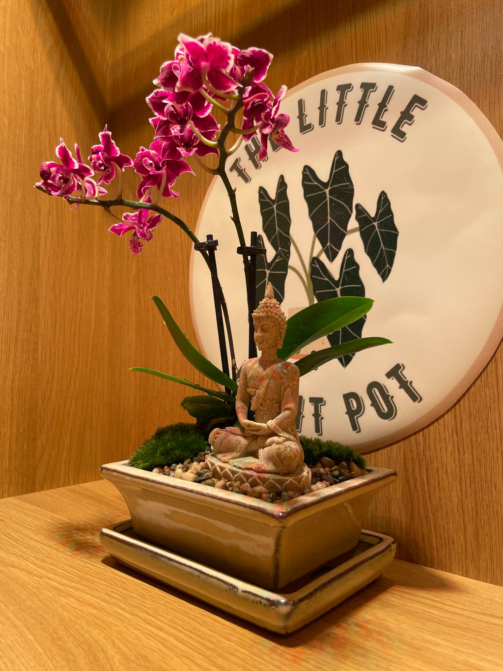 Buddha and the Orchid
