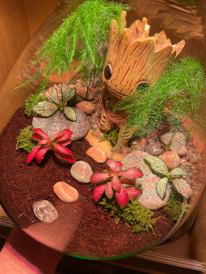 ***NEW*** Grootarium