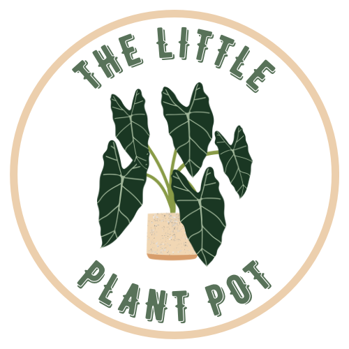 The Little Plant Pot