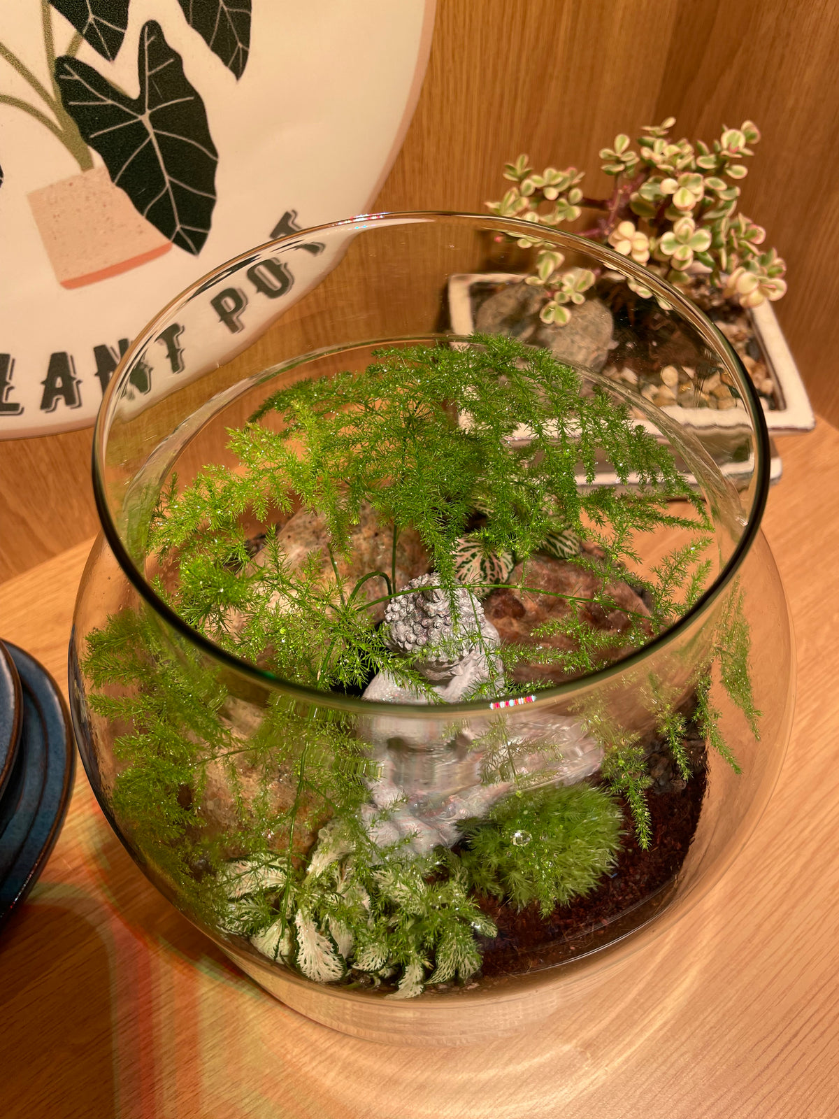 Buddha Terrarium