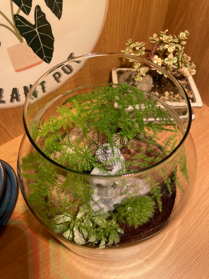 Buddha Terrarium
