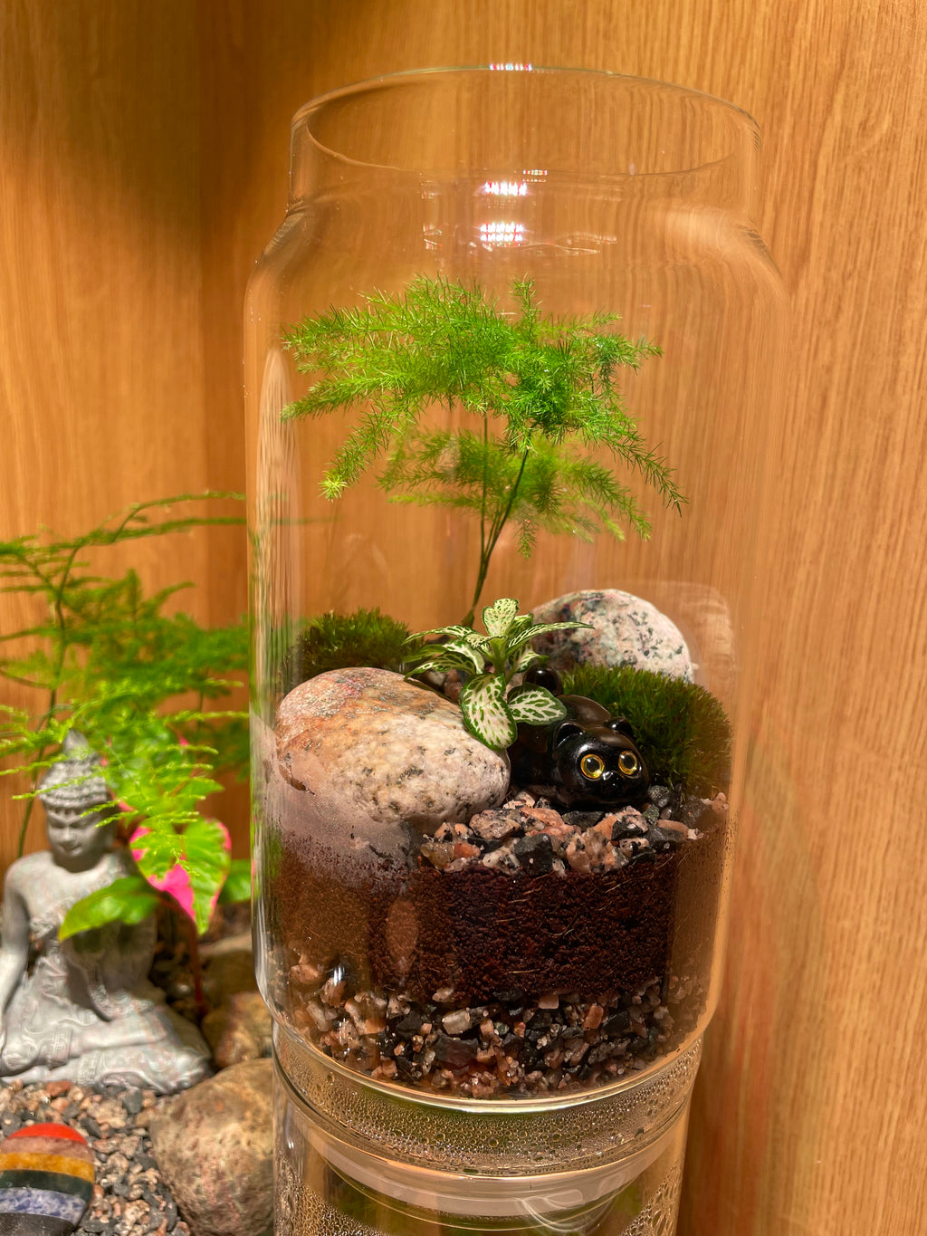 Little Cat Terrarium