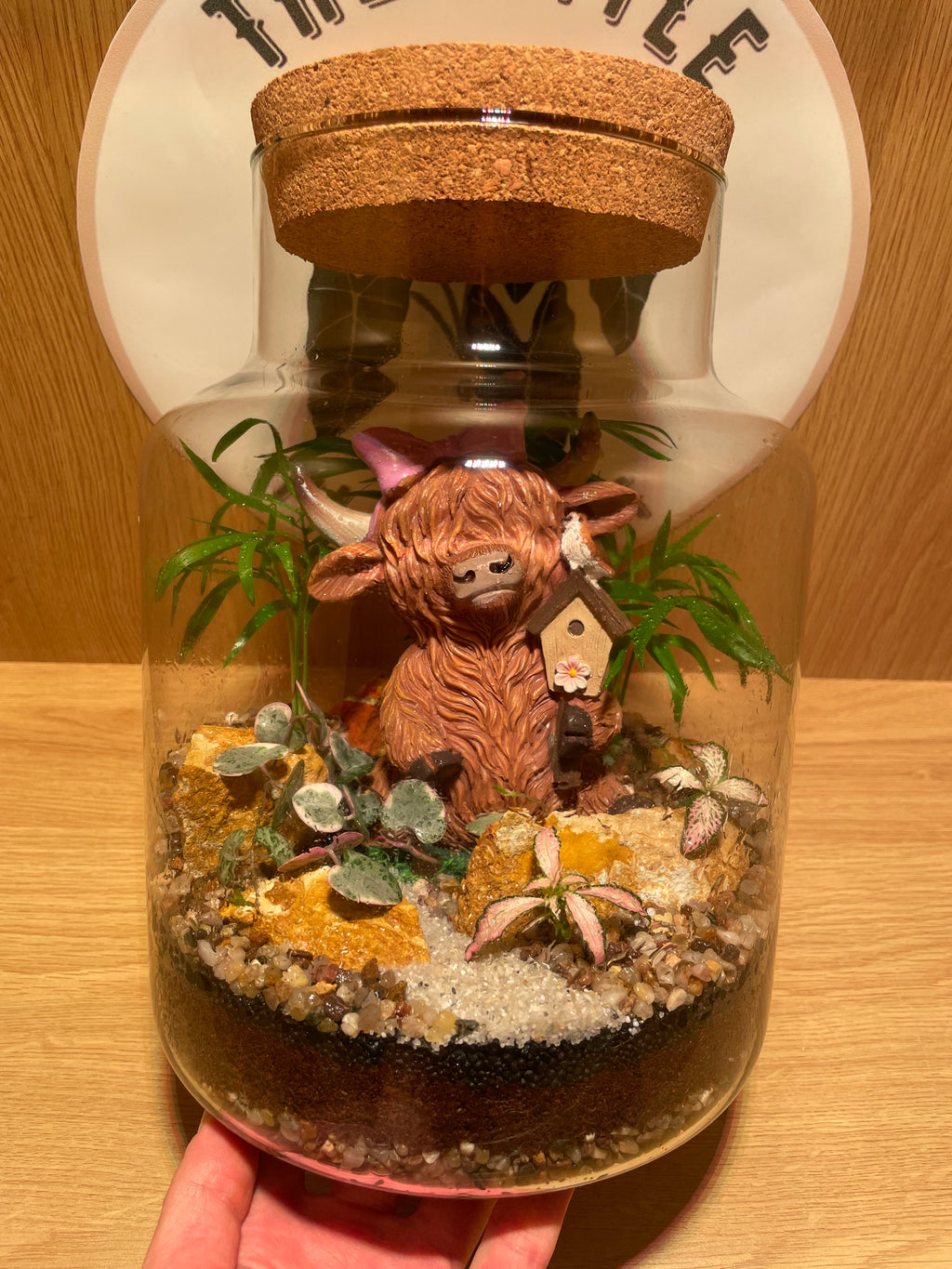 Highland Cow & Birdy Terrarium