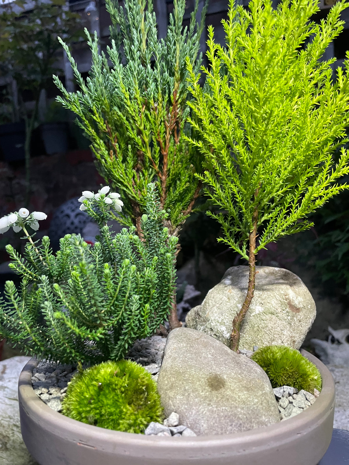 Mini Forest Bowl