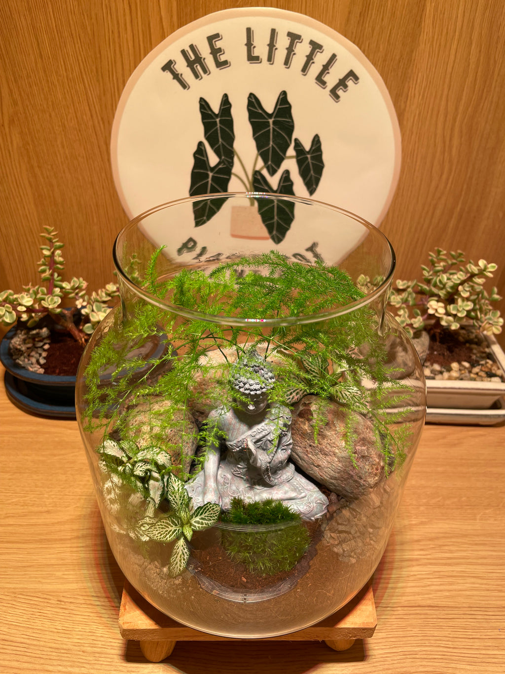Buddha Terrarium