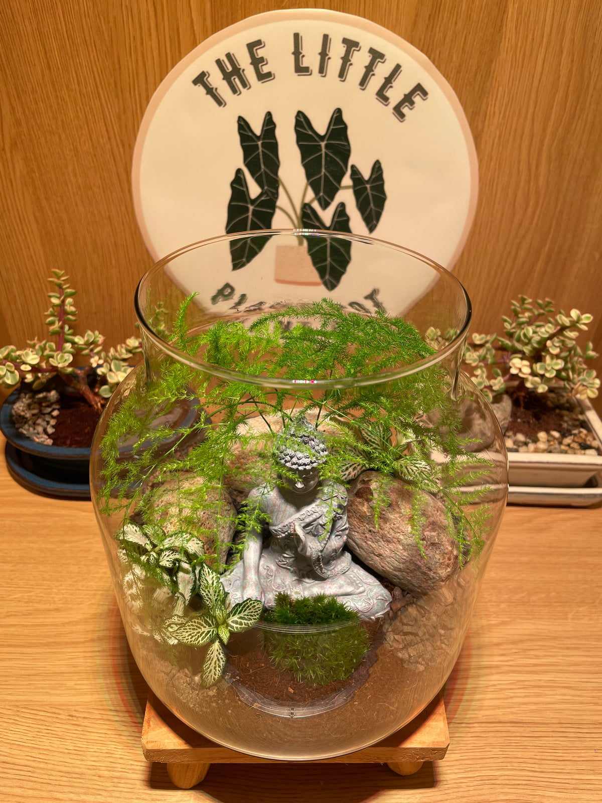 Buddha Terrarium