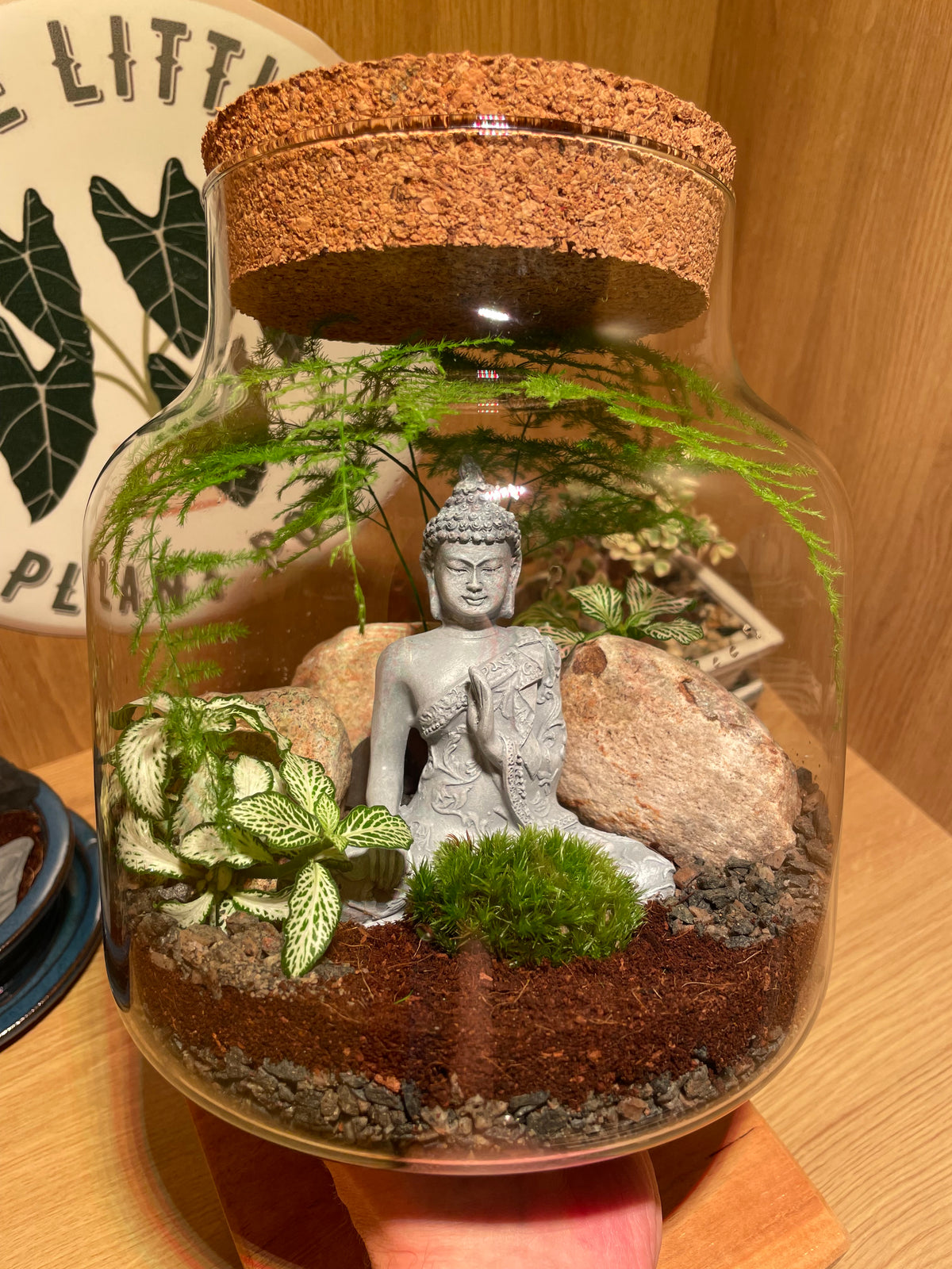 Buddha Terrarium
