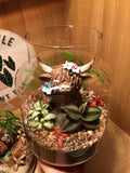 Highland Cow Terrarium