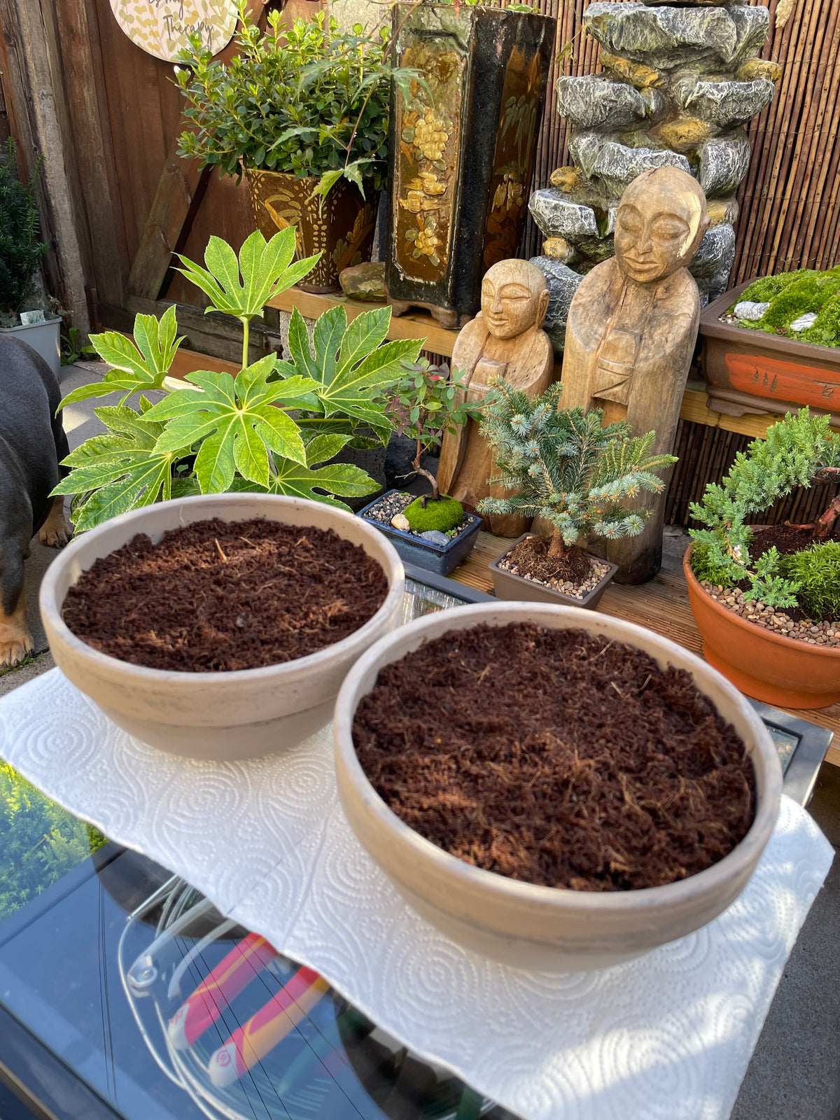 DIY Mini Forest Bowl Kit