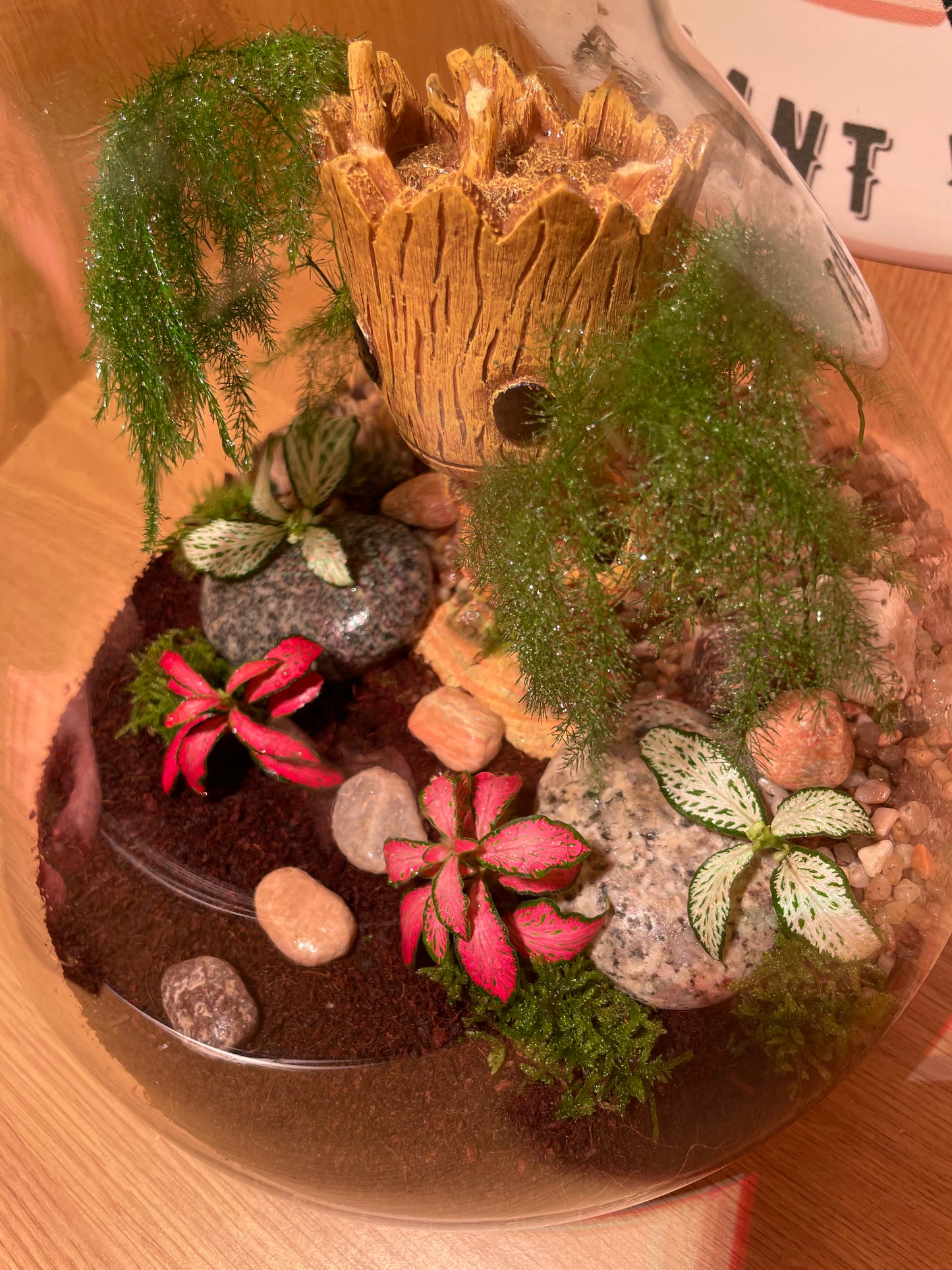 ***NEW*** Grootarium