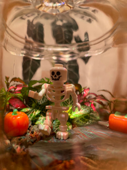 Pumpkin Terrarium