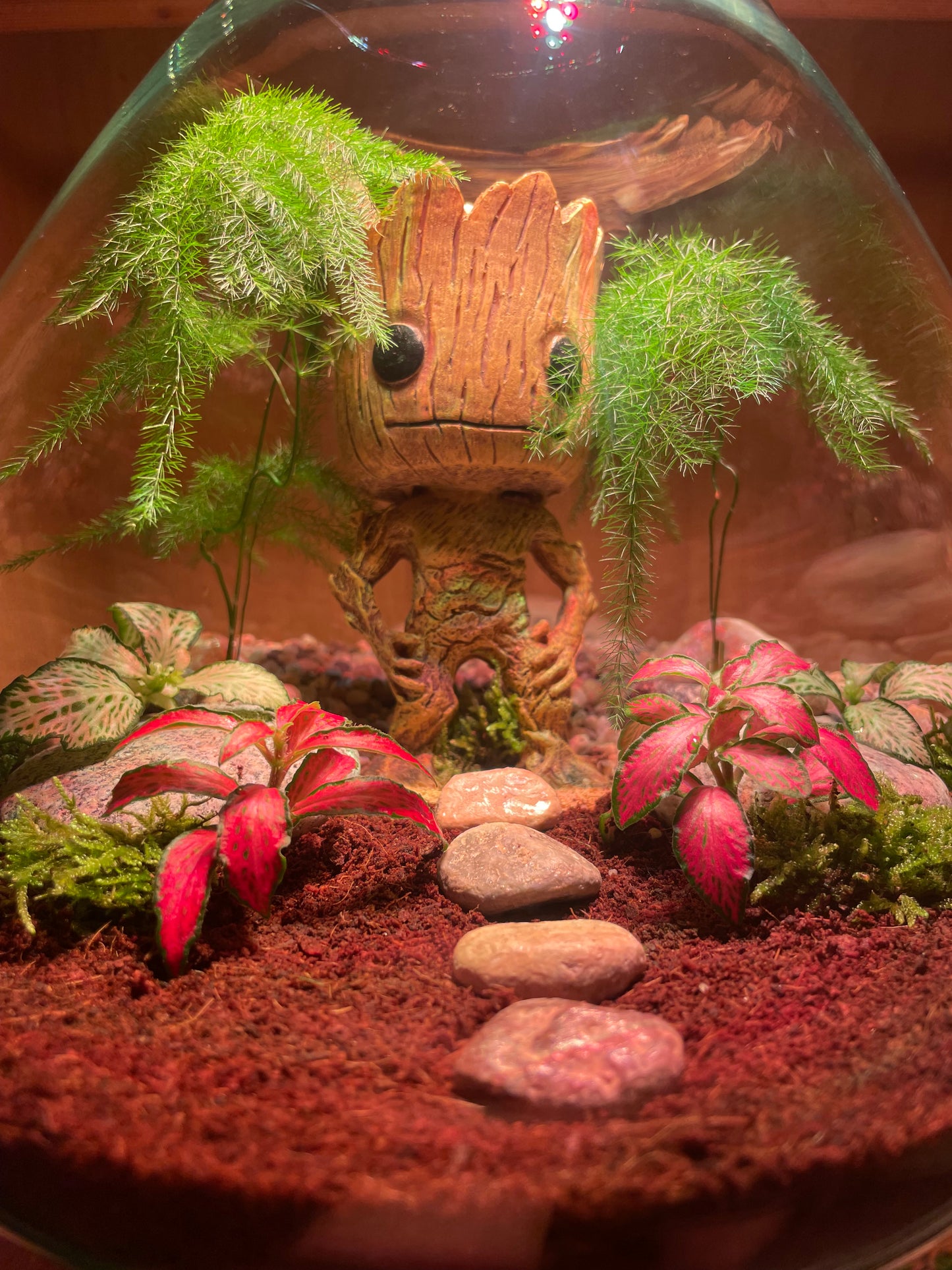 ***NEW*** Grootarium