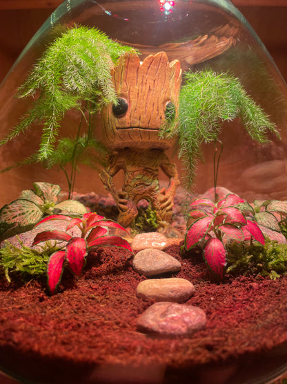 ***NEW*** Grootarium